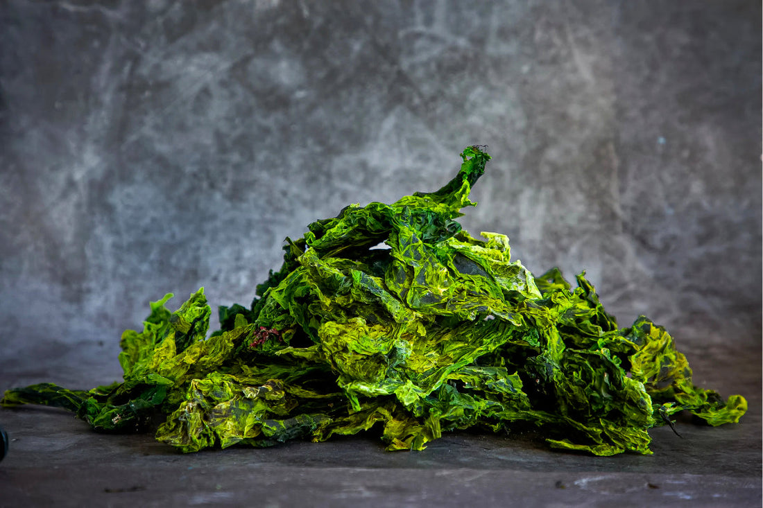 Is Sea Lettuce the Secret to Deeper Sleep? Natural Magnesium Explained
