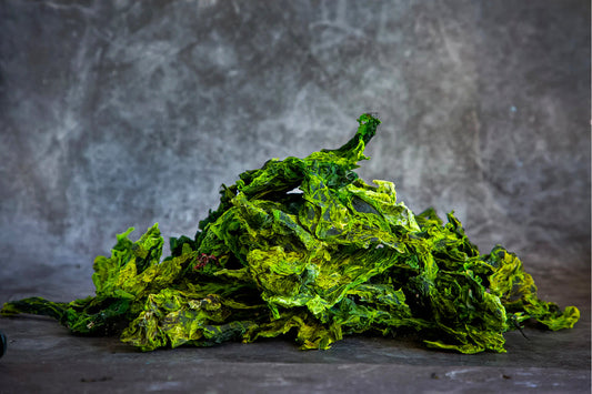 Is Sea Lettuce the Secret to Deeper Sleep? Natural Magnesium Explained